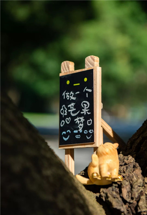 我把名字寫在了時間里丨華潤置地 西園悅府