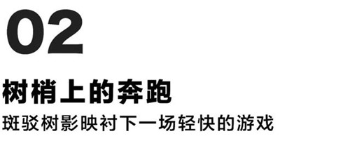 貴陽中南·春風南岸 社區(qū)花園實踐