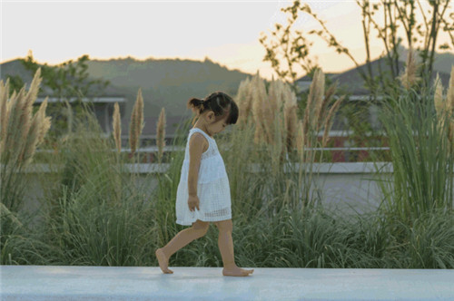 貴陽中南·春風南岸 社區(qū)花園實踐