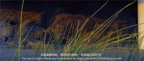 貴陽中南·春風南岸 社區(qū)花園實踐