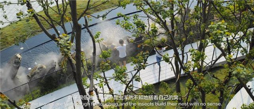 貴陽中南·春風南岸 社區(qū)花園實踐