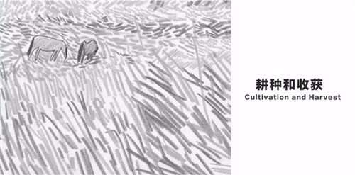 貴陽中南·春風南岸 社區(qū)花園實踐