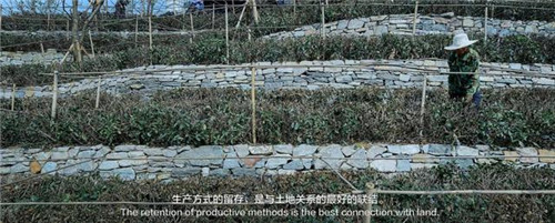 貴陽中南·春風南岸 社區(qū)花園實踐