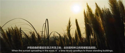 貴陽中南·春風南岸 社區(qū)花園實踐