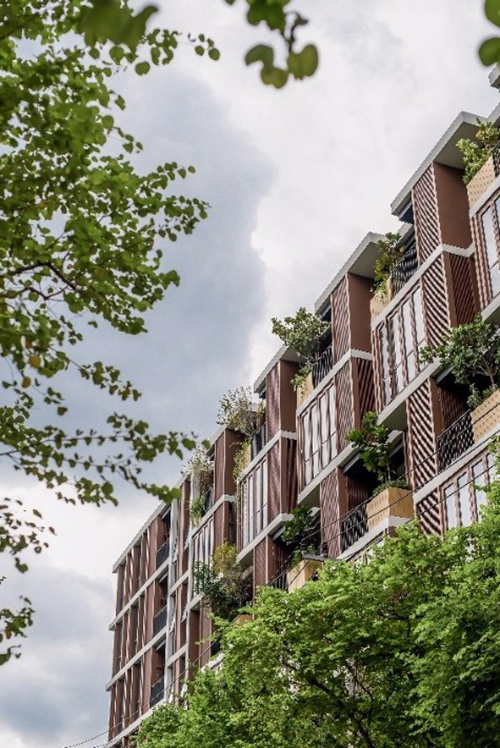 2019園冶杯專業(yè)獎(jiǎng)丨泰國(guó)曼谷森之居