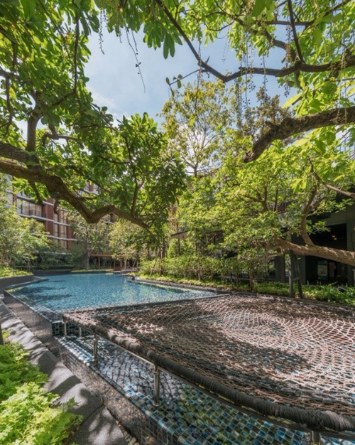 2019園冶杯專業(yè)獎(jiǎng)丨泰國(guó)曼谷森之居