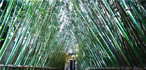 吉盛園林| 從國(guó)畫(huà)中走出來(lái)的融創(chuàng)·山曉