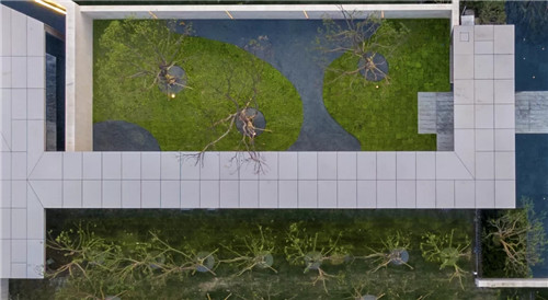 春風又綠江南岸|中南·春風南岸