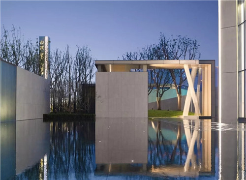 春風又綠江南岸|中南·春風南岸