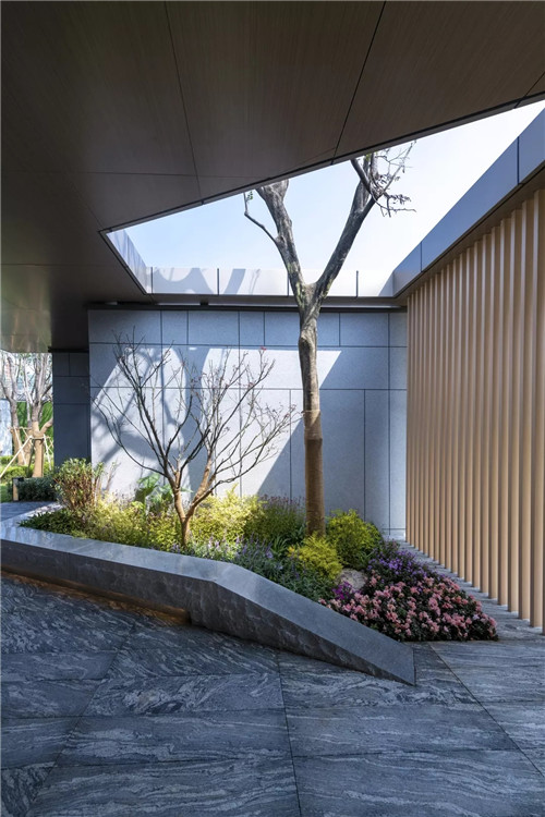 春風又綠江南岸|中南·春風南岸