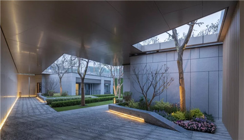 春風又綠江南岸|中南·春風南岸