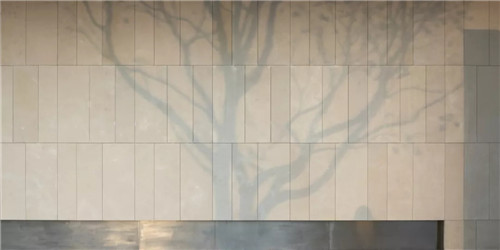 春風又綠江南岸|中南·春風南岸