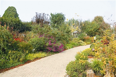 專家之聲：中國花境崛起從何入手？