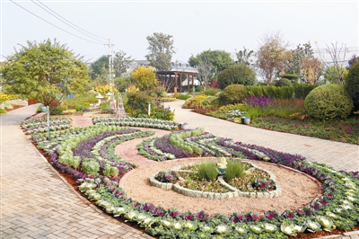 專家之聲：中國花境崛起從何入手？