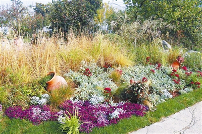 專家之聲：中國花境崛起從何入手？