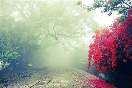 是鐵路也是風景:線性文化遺產的活化利用
