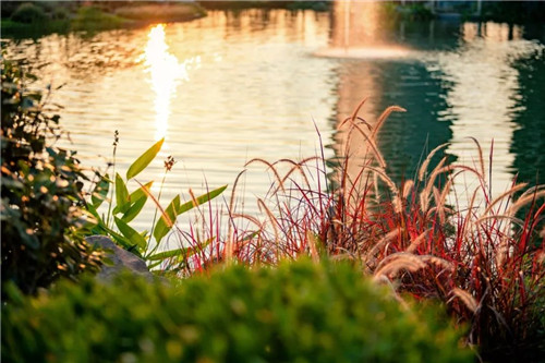 玉砌花光錦繡明 | 萬科·天府錦繡