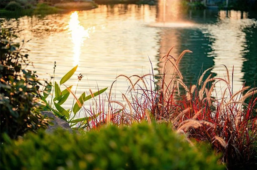 玉砌花光錦繡明 | 萬科·天府錦繡