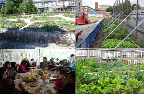 蔡建明:城鄉(xiāng)融合下的都市農業(yè)發(fā)展趨勢