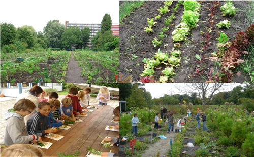 蔡建明:城鄉(xiāng)融合下的都市農業(yè)發(fā)展趨勢