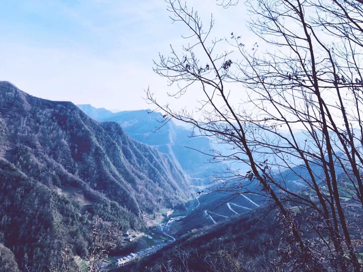 園冶杯一等獎(jiǎng)朱文豪：一粒沙中見世界，一座村中見故鄉(xiāng)