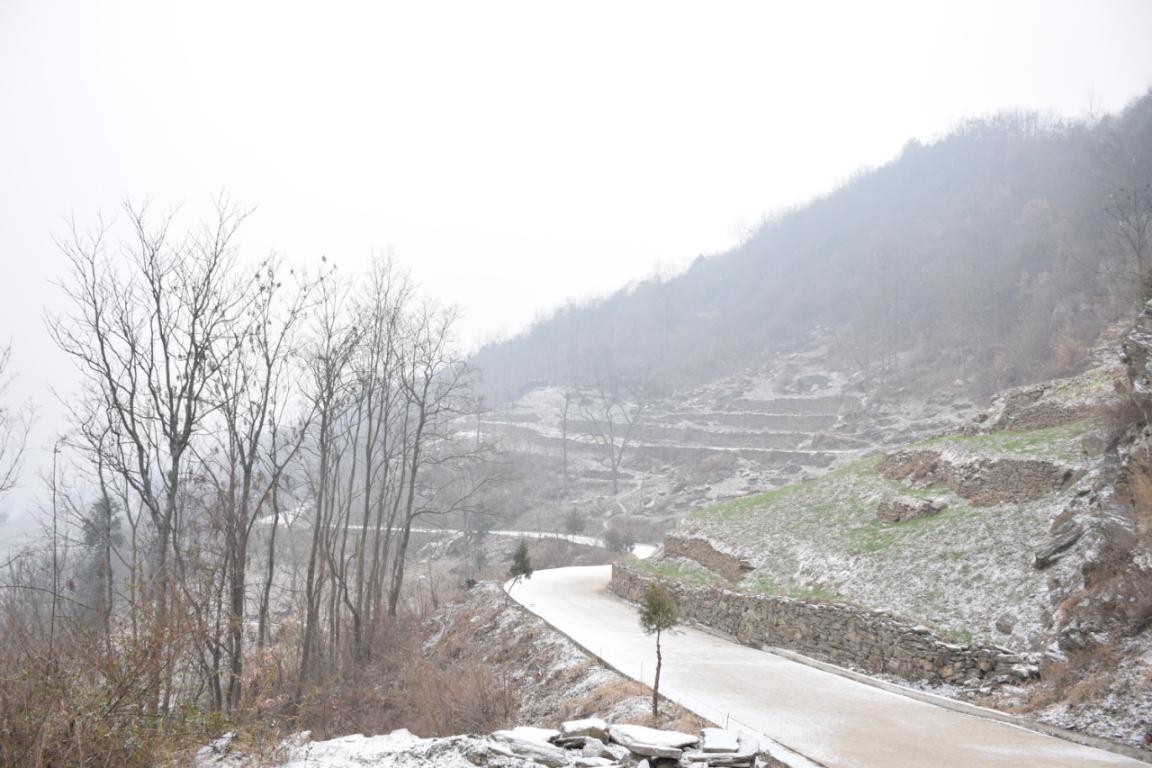 園冶杯一等獎(jiǎng)朱文豪：一粒沙中見世界，一座村中見故鄉(xiāng)