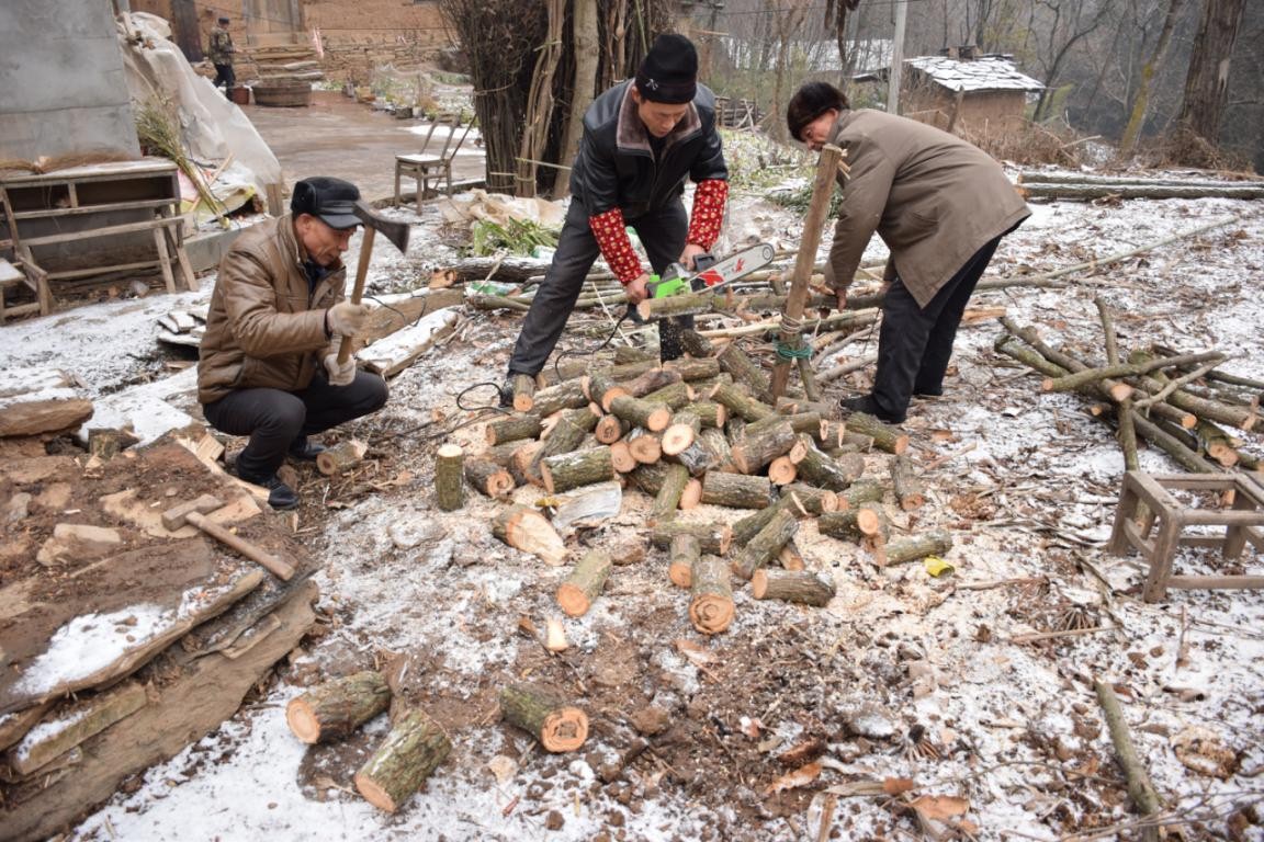 園冶杯一等獎(jiǎng)朱文豪：一粒沙中見世界，一座村中見故鄉(xiāng)