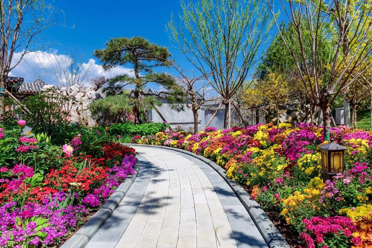 再傳捷報！第十屆園冶杯市政園林大獎佳作云集