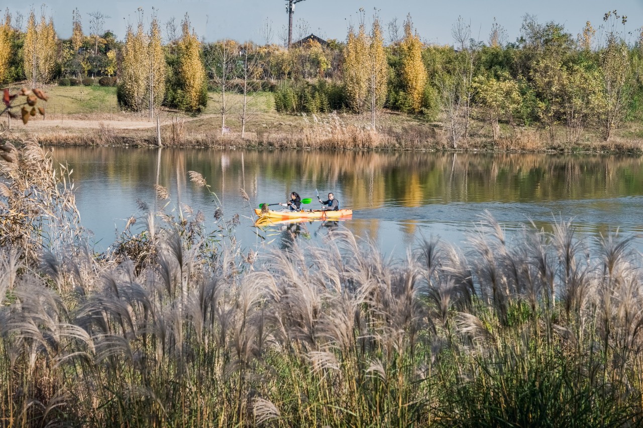 再傳捷報！第十屆園冶杯市政園林大獎佳作云集