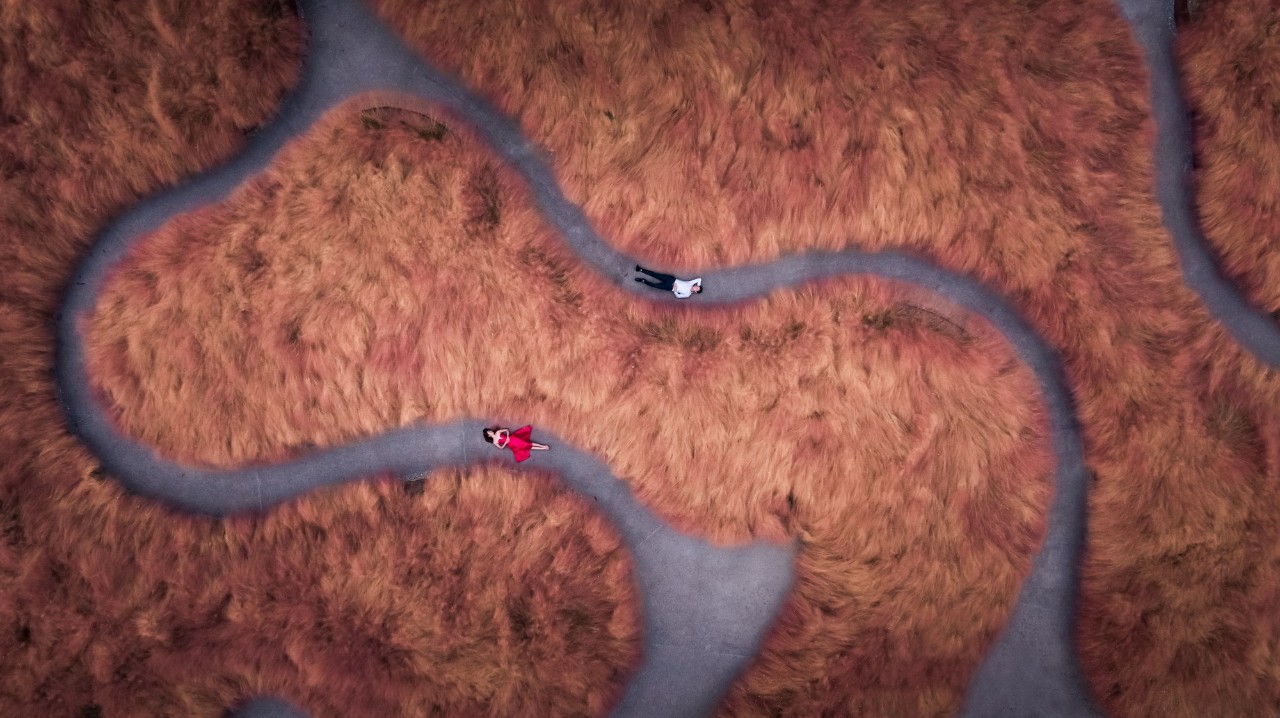 再傳捷報！第十屆園冶杯市政園林大獎佳作云集