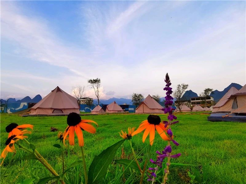 再傳捷報！第十屆園冶杯市政園林大獎佳作云集