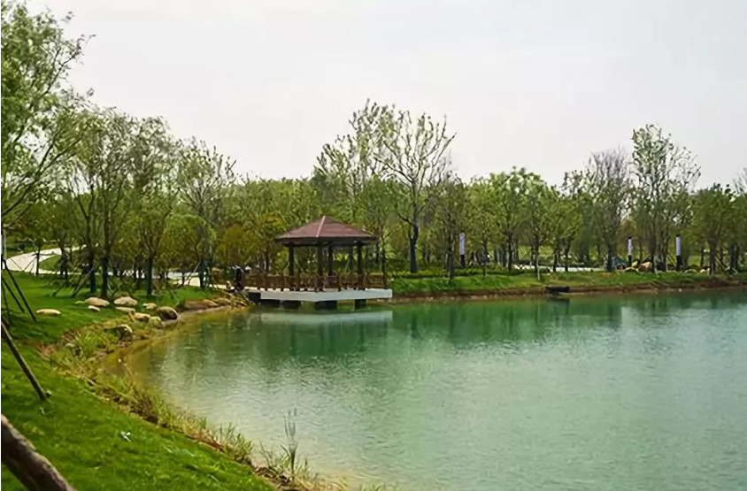 再傳捷報！第十屆園冶杯市政園林大獎佳作云集