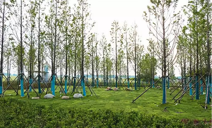 再傳捷報！第十屆園冶杯市政園林大獎佳作云集