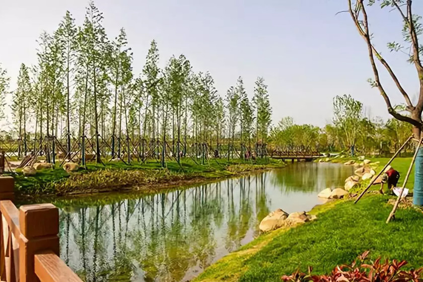 再傳捷報！第十屆園冶杯市政園林大獎佳作云集