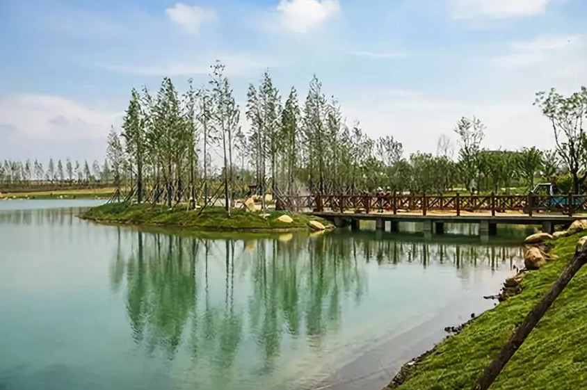 再傳捷報！第十屆園冶杯市政園林大獎佳作云集