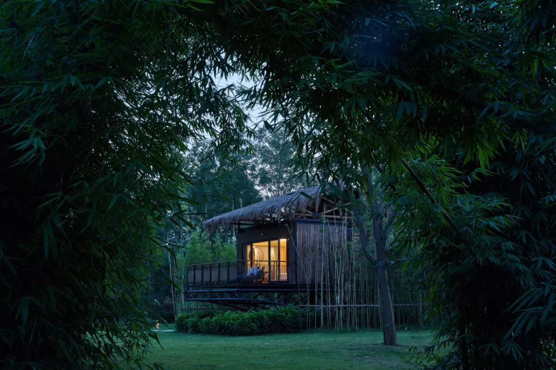 再傳捷報！第十屆園冶杯市政園林大獎佳作云集