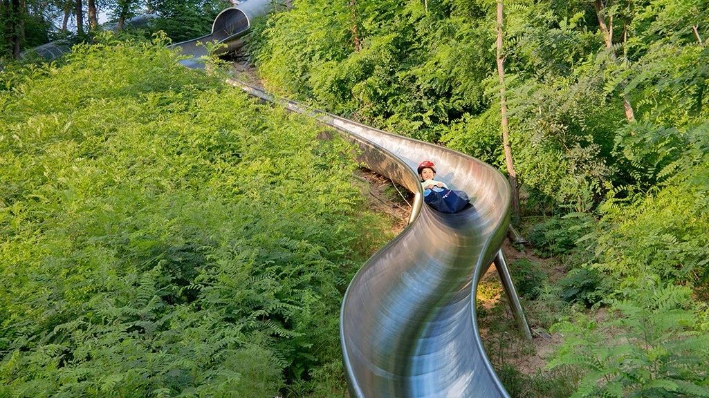 再傳捷報！第十屆園冶杯市政園林大獎佳作云集