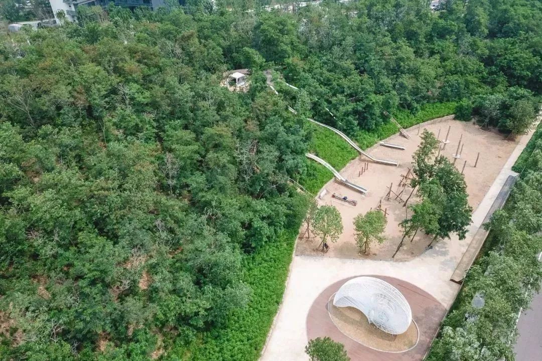 再傳捷報！第十屆園冶杯市政園林大獎佳作云集