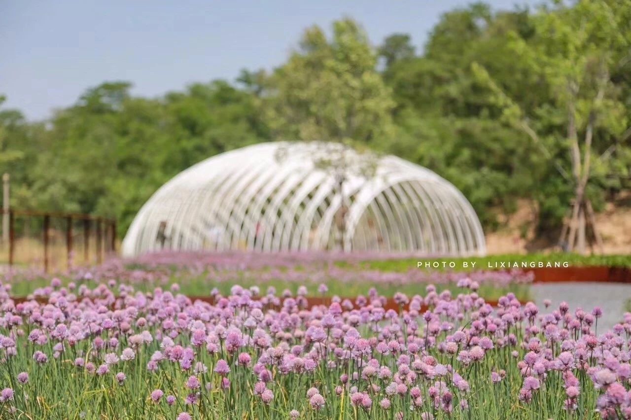 再傳捷報！第十屆園冶杯市政園林大獎佳作云集