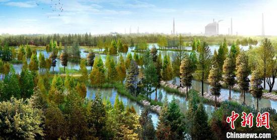 武漢:瞄準(zhǔn)長江兩岸做“綠文章”