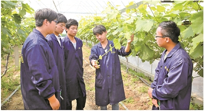 江蘇農林職院:創新模式構筑職業教育高地