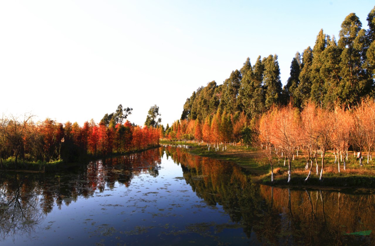 南滇池濕地成昆明首個“國家濕地公園”