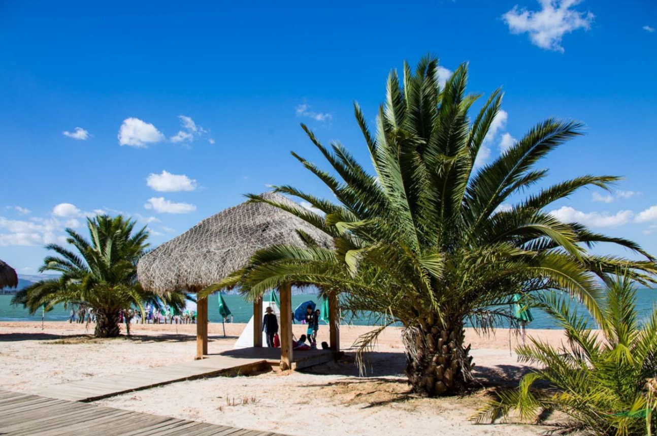 南滇池濕地成昆明首個“國家濕地公園”