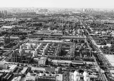 先造林，后造城：城市副中心“長”在森林里 