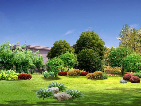 火神山醫院一半面積覆蓋花木，一天栽種完畢