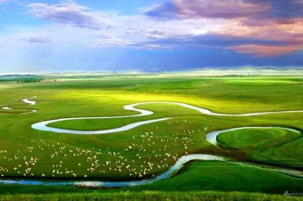 第24個世界濕地日：濕地與生物多樣性