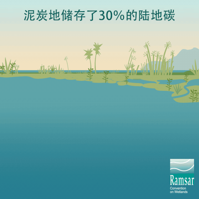 第24個世界濕地日：濕地與生物多樣性