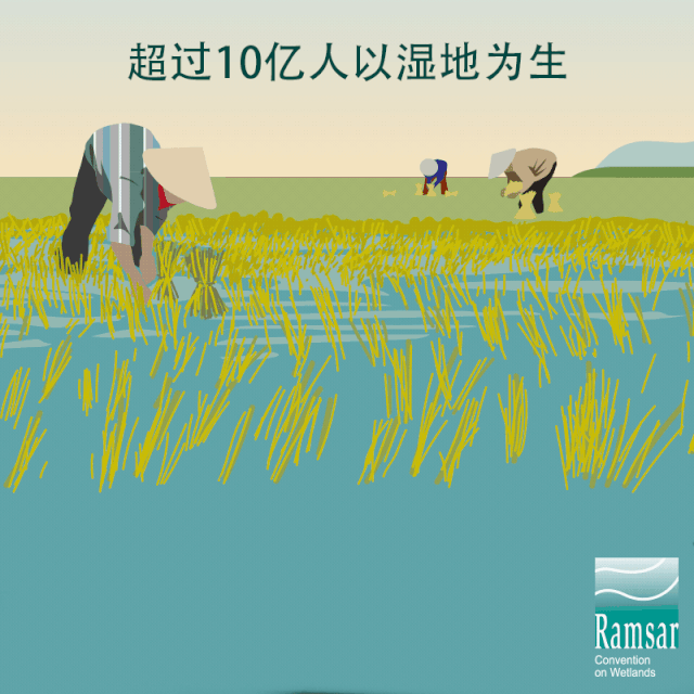 第24個世界濕地日：濕地與生物多樣性