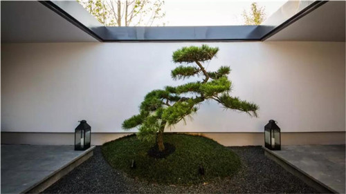 種地設計亮相聯合國世界城市論壇