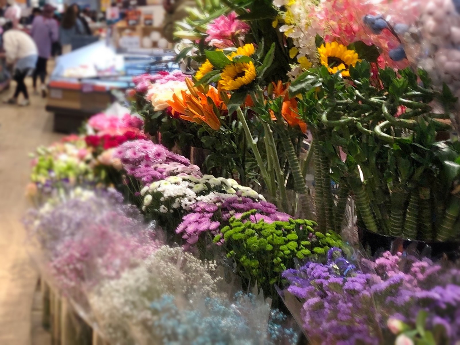 疫情重創鮮花市場 線上掀起救花行動